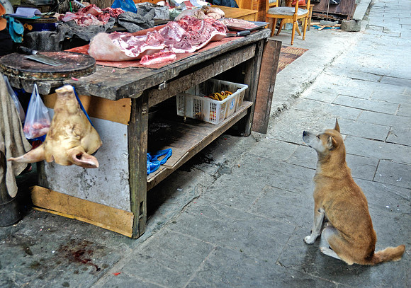 China - Rural