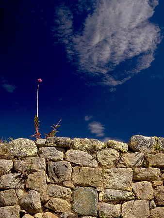 _Location Unknown