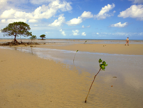 Northern Territory