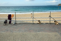 NSW - Sydney