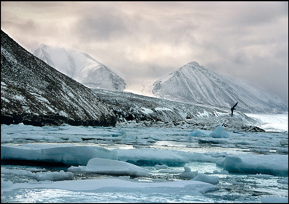 Antarctic