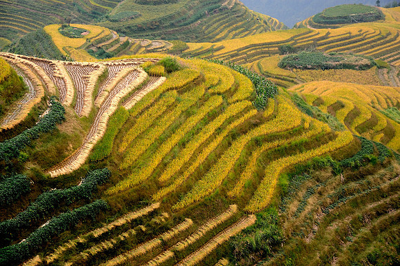 China - Rural